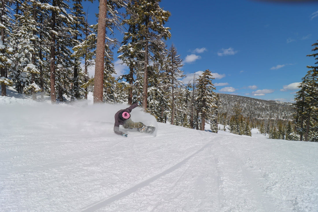 Team Bio: Gabe Triplette